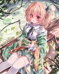 flandre scarlet from touhou by top-exerou