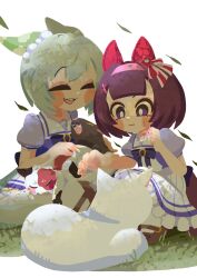 nishino flower (umamusume) from umamusume