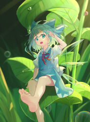 cirno from touhou