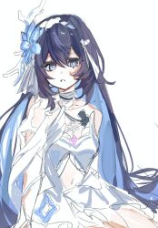 seele vollerei from honkai (series)
