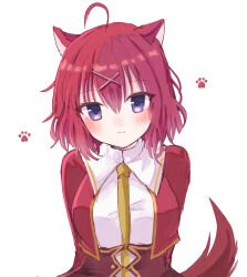 masaki gaillard from amairo islenauts
