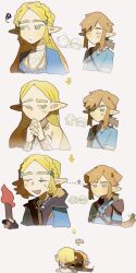 link from the legend of zelda