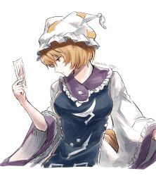 yakumo ran from touhou by koto (shiberia39)