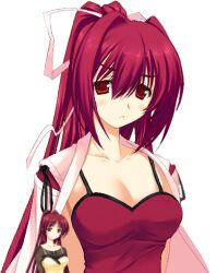 yuzuriha (under night in-birth) from under night in-birth