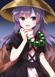 hijiri byakuren from touhou by ruu (tksymkw)