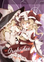 flandre scarlet from touhou by tsumurikoto