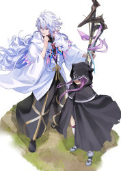 medusa (fate) from fate/grand order