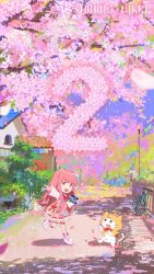 momo (nikki) from nikki (series)