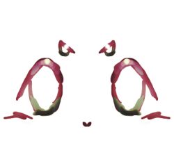 Booru post from safebooru.org