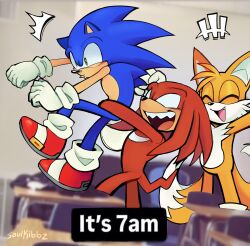 knuckles the echidna from sonic (series)