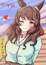light hello (umamusume) from umamusume