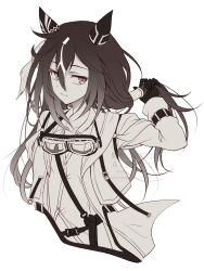 stay gold (sunlit outsider) (umamusume) from umamusume
