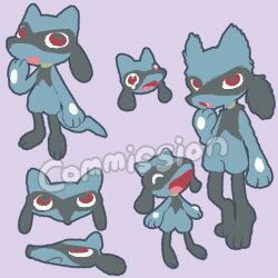 riolu from pokemon