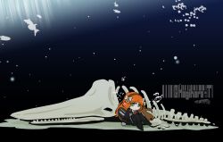 ishmael (project moon) from limbus company