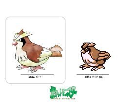 pidgey from pokemon