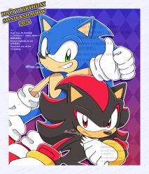 shadow the hedgehog from sonic (series) by meru (mer milky77)