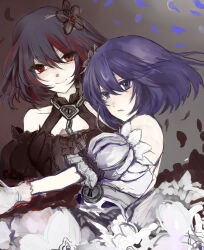 seele (alter ego) from honkai (series)