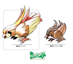 pidgeot from pokemon