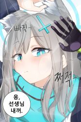 shiroko (blue archive) from blue archive