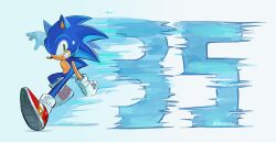 sonic the hedgehog from sonic (series)