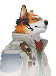 fox mccloud from star fox
