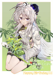 mulberry (arknights) from arknights