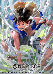 monkey d. luffy from one piece by otton