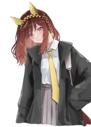 buena vista (umamusume) from umamusume