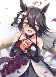 manhattan cafe (umamusume) from umamusume