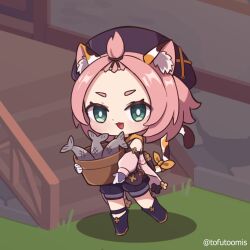diona (genshin impact) from genshin impact