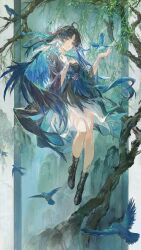 willow from wuthering waves by ergouzi echo