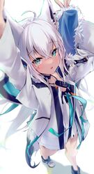 shirakami fubuki from hololive