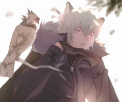silverash (arknights) from arknights