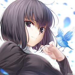 kuonji alice from mahou tsukai no yoru