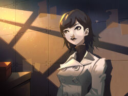 shin megami tensei fan art