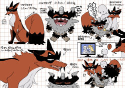 boltund from pokemon