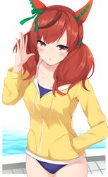 nice nature (umamusume) from umamusume