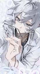 niconico fan art