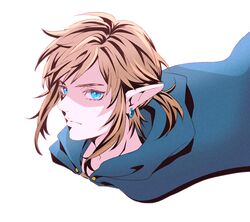 link from the legend of zelda by chiru (sanifani)