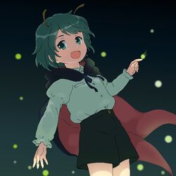 wriggle nightbug from touhou