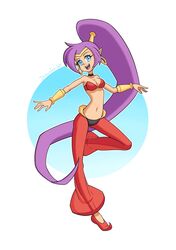 shantae fan art