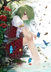 kazami yuuka from touhou by cloudy.r