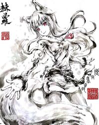 holo from spice and wolf