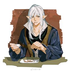 elezen from final fantasy