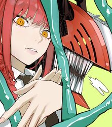 denji (chainsaw man) from chainsaw man