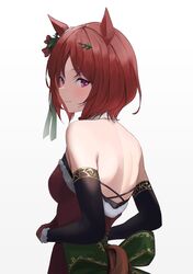 sakura laurel (umamusume) from christmas