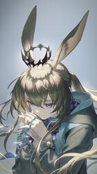 amiya (arknights) from arknights
