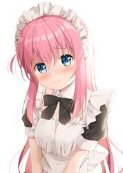 mika miche from bocchi the rock!