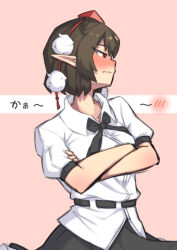 shameimaru aya from touhou