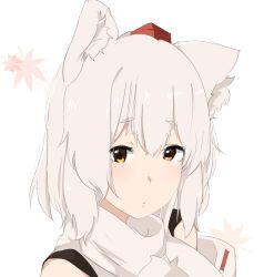 inubashiri momiji from touhou